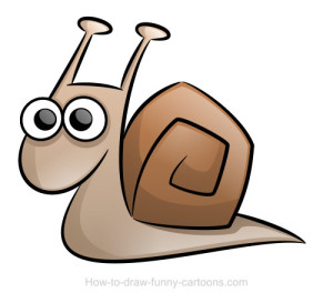 snail-drawings-008